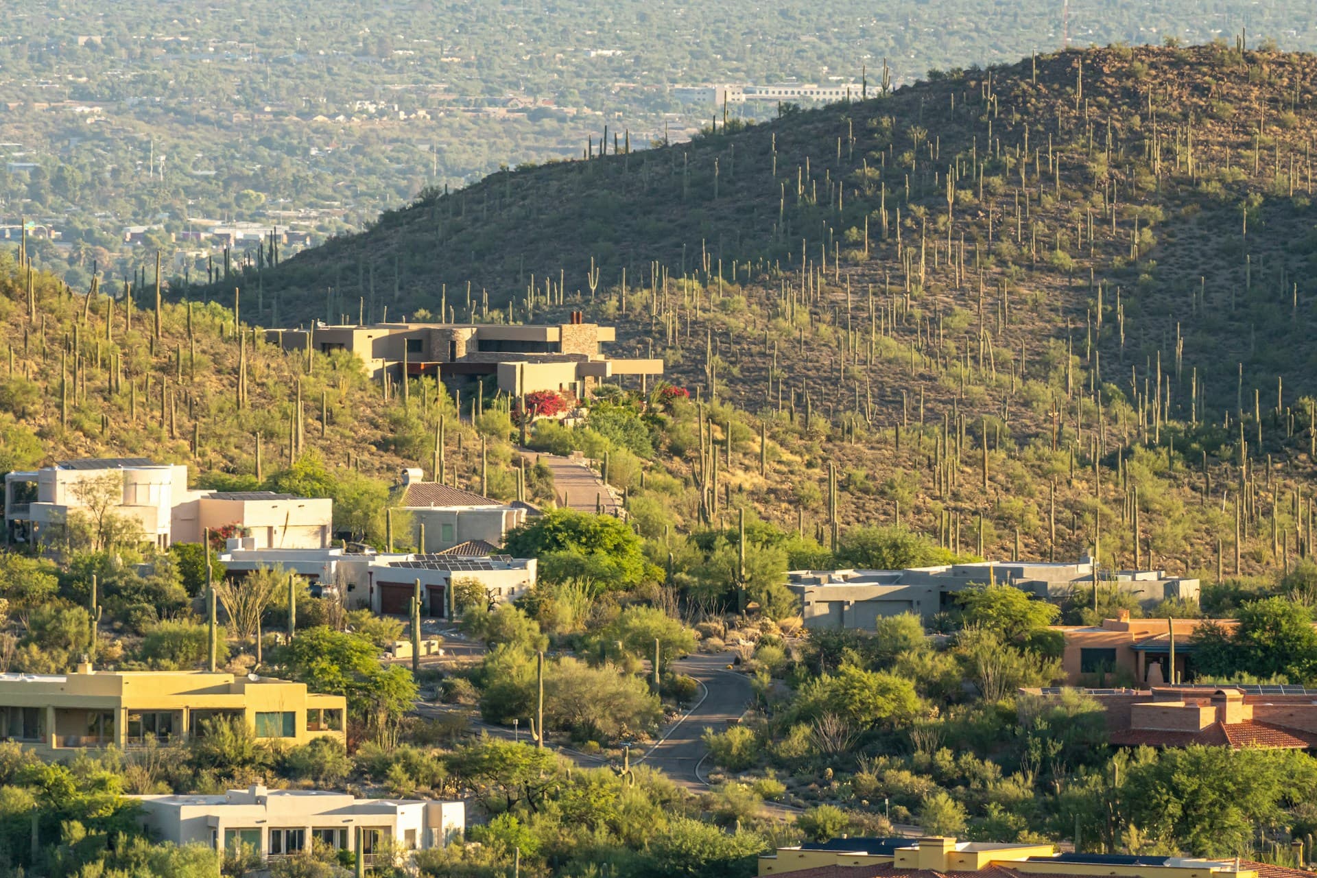 Search Investment Properties