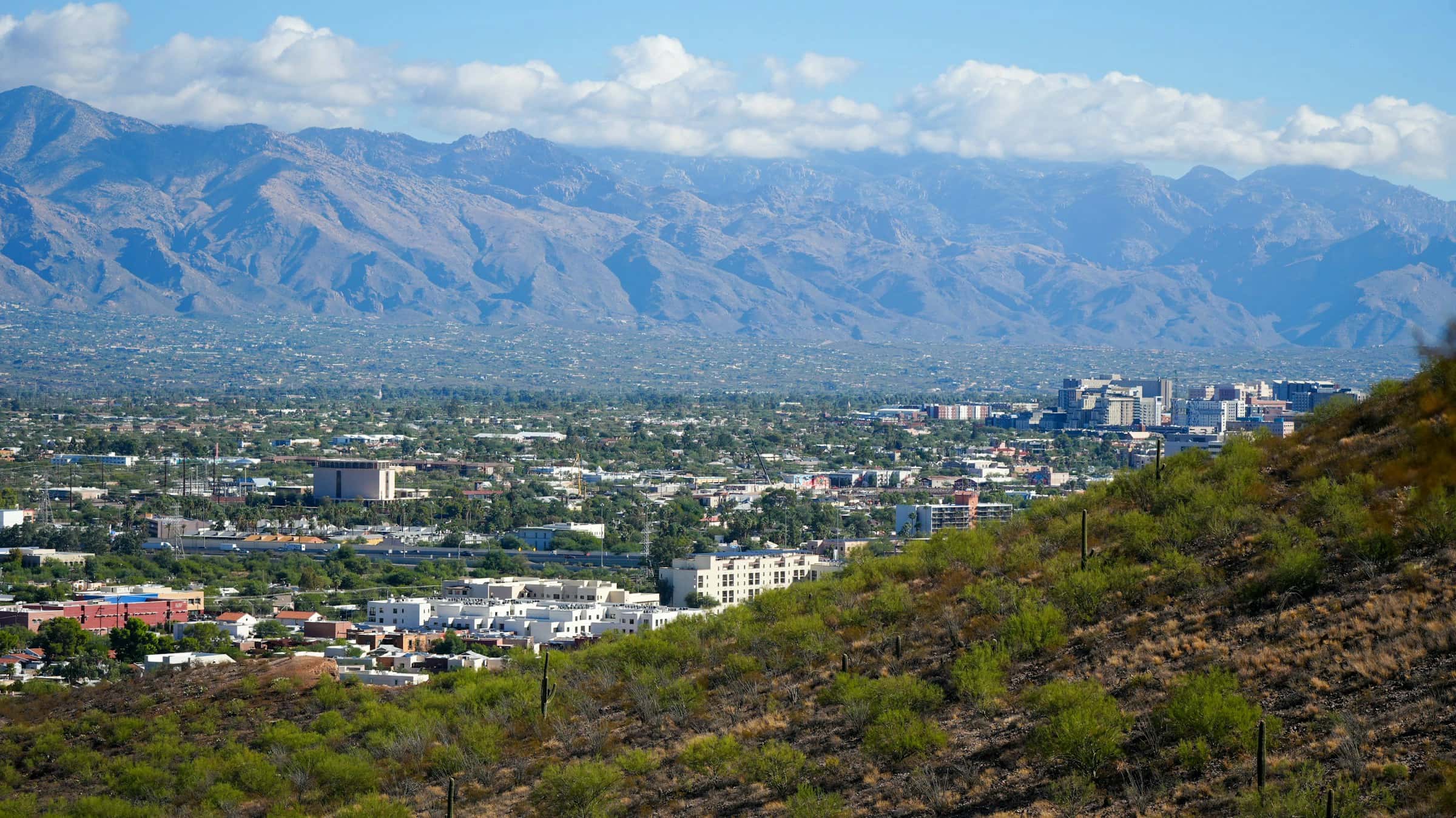 Tucson landscape hero image