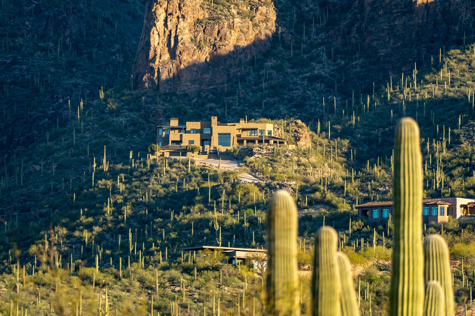Oro Valley landscape