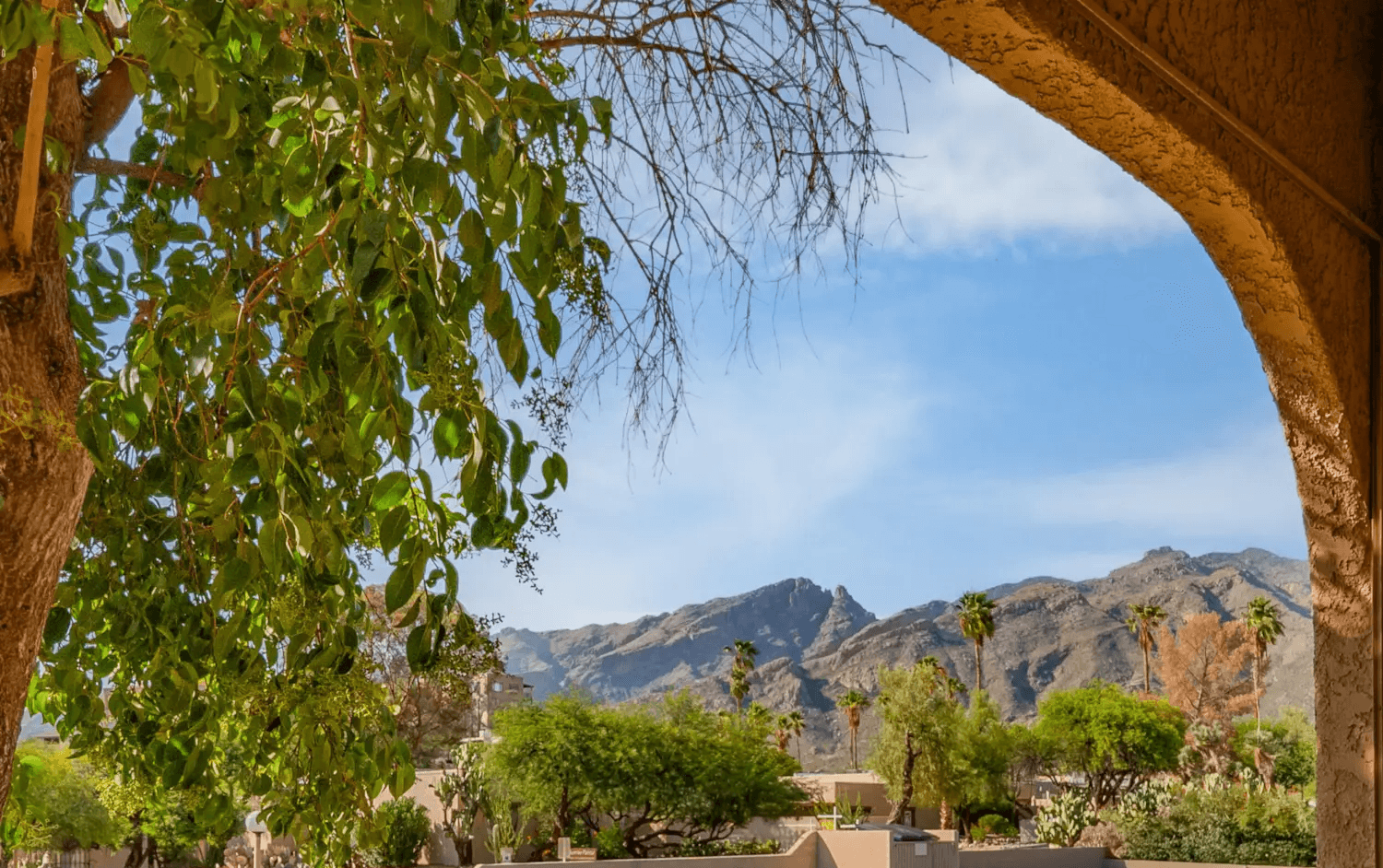 5750 N Camino Esplendora #109