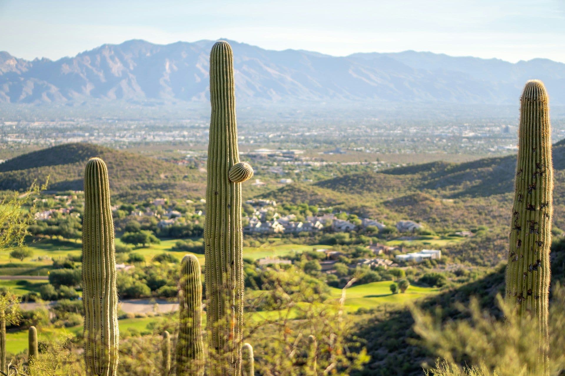 Header image of Vail, AZ.